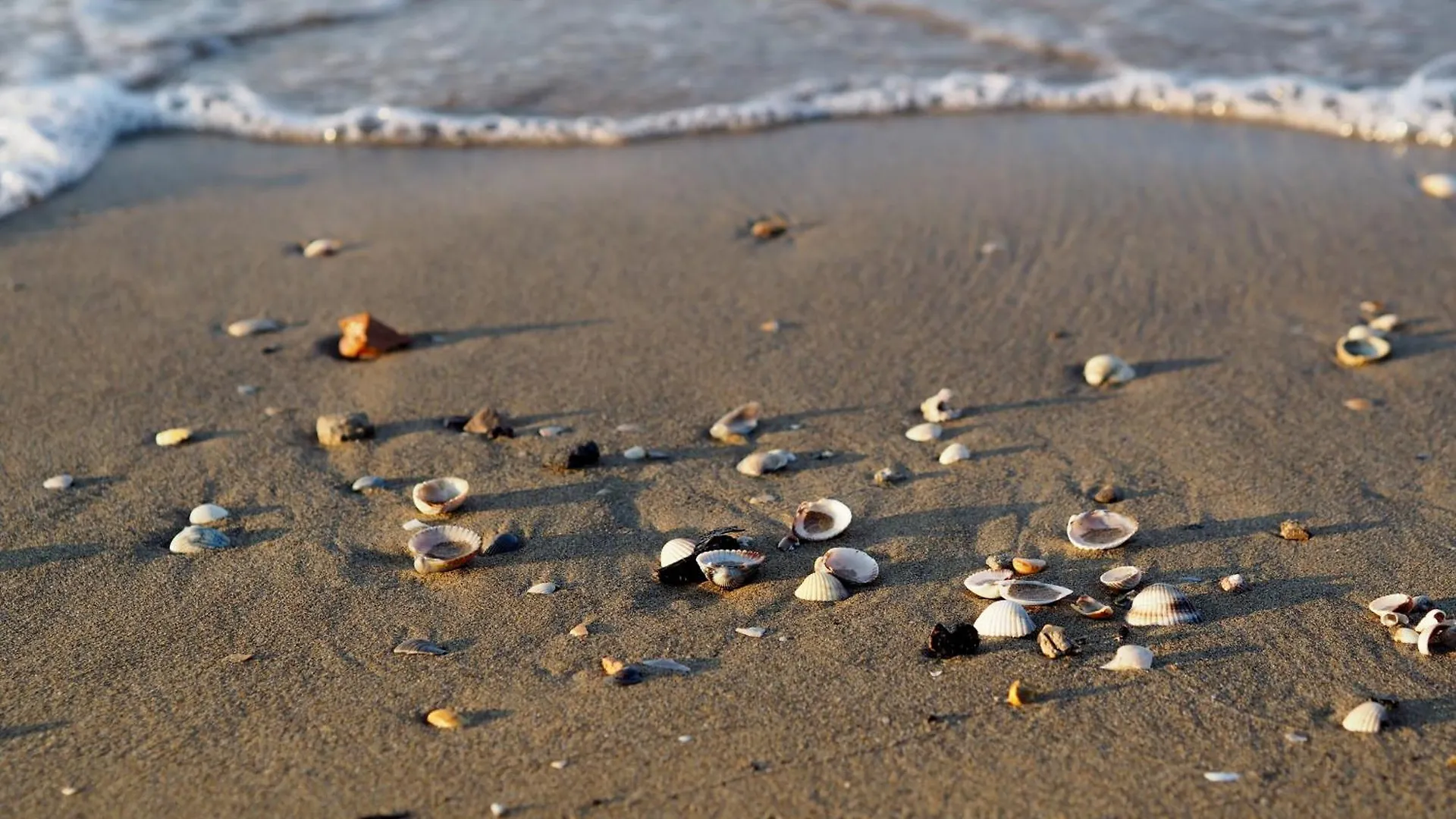 A Suitable Apartment In Bibione By Beahost Rentals